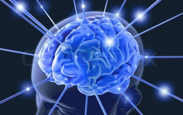 Segnali di Intelligenza.